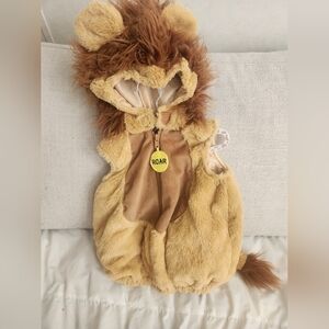 Adorable Lion Costume for Kids
